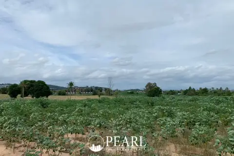 Land for Sale in L Pattaya lush green landscape