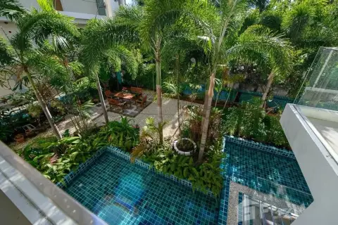 Sunset Boulevard Residence 1 aerial view of pool and garden seating area surrounded by palms