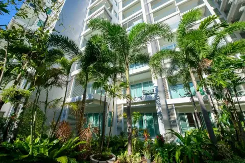 Sunset Boulevard Residence 1 tropical courtyard garden with tall palm trees framing balconies