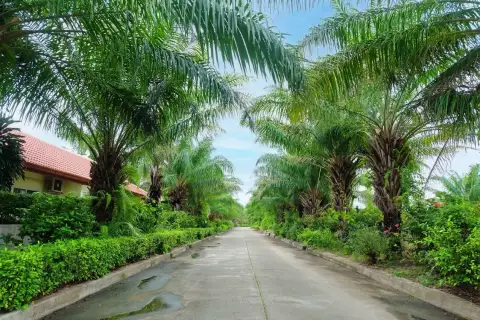 Paragon Park Village outdoor swimming pool with blue water, surrounded by a paved deck and tropical plants.
