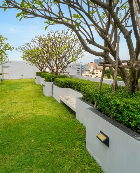 The Winner Pratumnak rooftop garden terrace with green lawn and frangipani trees