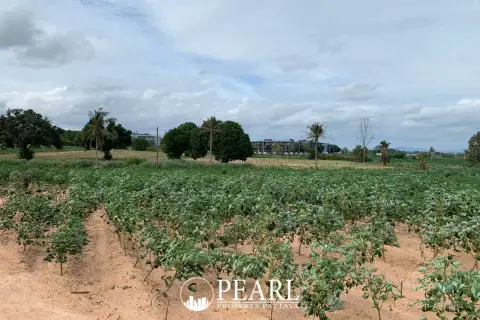 Land for Sale in L Pattaya with distant city skyline
