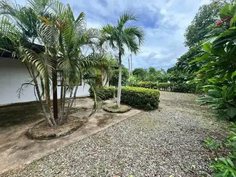 2 Bedroom House for Sale in Huai Yai garden pathway with palm trees and gravel landscaping