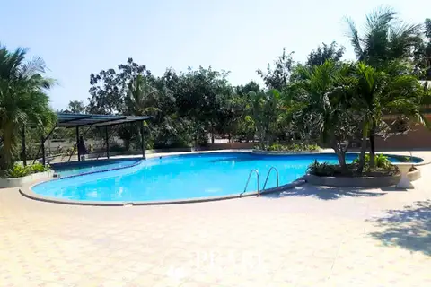 Raviporn City Home large curved swimming pool surrounded by palm trees and lush greenery.