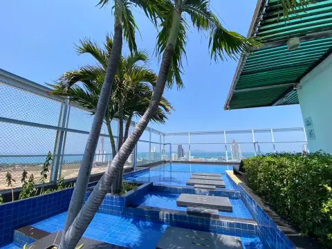 Treetops Condo pool area with palm trees framing ocean and city view from rooftop