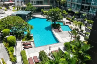Apus outdoor swimming pool aerial view with sun loungers, tropical trees and manicured gardens surrounding the pool deck