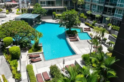 Apus outdoor swimming pool aerial view with sun loungers, tropical trees and manicured gardens surrounding the pool deck
