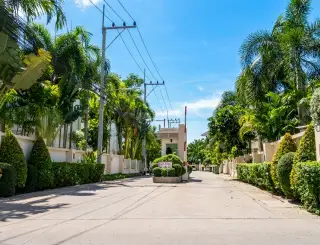 The Meadows gated community entrance with security barrier, lush palm trees, and manicured hedges.