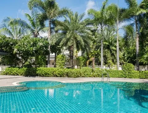 The Meadows large swimming pool with reflections of the clubhouse and tropical trees under a sunny sky.