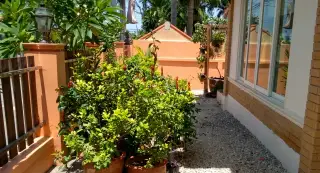 Hansa Paradise Hill — new development photo 2, Pattaya Thailand