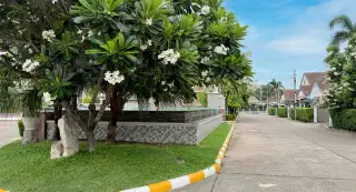 Ruen Pisa Village — new development photo 4, Pattaya Thailand