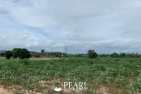 Land for Sale in L Pattaya lush green landscape