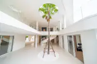 8 Bedroom House for Sale in Huai Yai double-height atrium with central palm tree growing through skylight opening