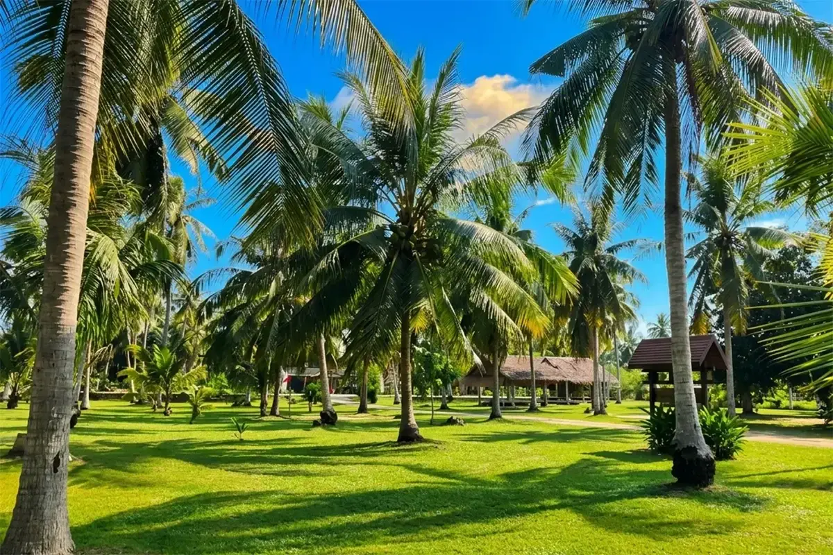 Real estate in Takhian Tia, Pattaya, Thailand