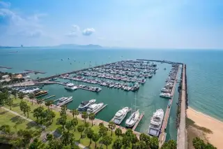 Ocean Portofino aerial view of full marina with yachts and boats docked beside palm-lined waterfront