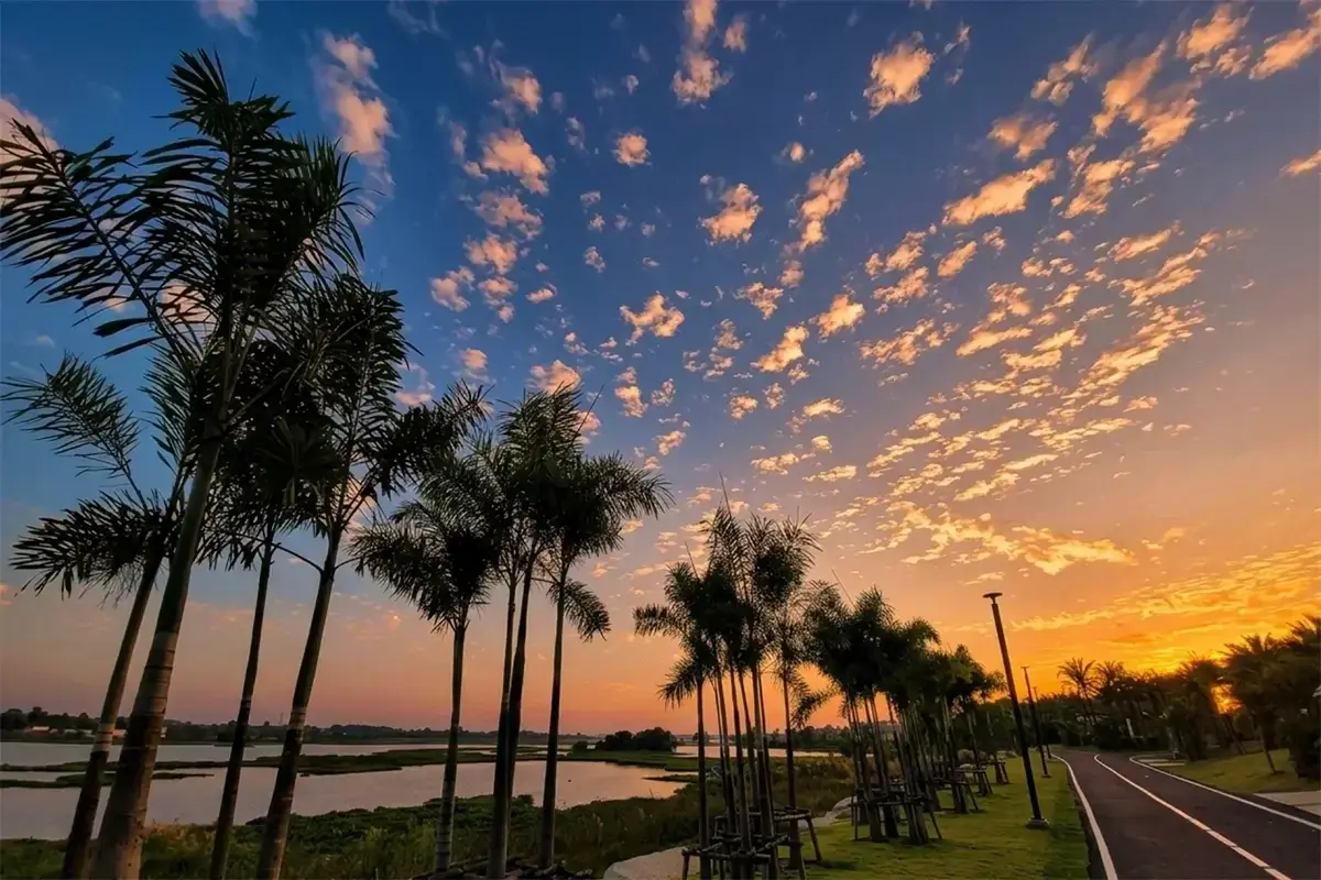 Real estate in Nong Prue, Pattaya, Thailand