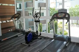Apus fitness centre with treadmills and elliptical cross trainer machines beside floor-to-ceiling windows overlooking gardens