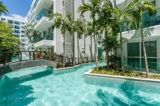 Amazon Residence winding swimming pool with palm trees, tropical plants, and a small bridge.