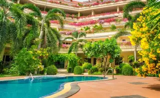 Nordic Residence aerial view of a dolphin-shaped swimming pool surrounded by tropical palm trees and lush flowering plants.