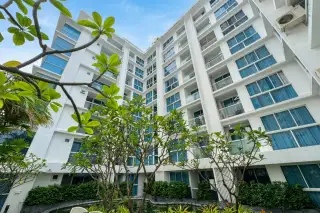 Serenity Wongamat condo building exterior from a low angle, showing white balconies and surrounding trees.