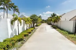 House Soi Tungklom-Tanman 20: Concrete road lined with white walls, palm trees, and green bushes under a sunny sky.
