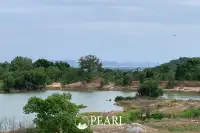 Land for Sale in L Pattaya undeveloped plot