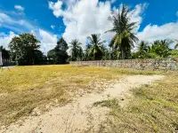 Land for Sale in Pong, Pattaya, Thailand — Land — photo 4