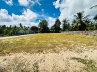 Land for Sale in Pong, Pattaya, Thailand — Land — photo 5