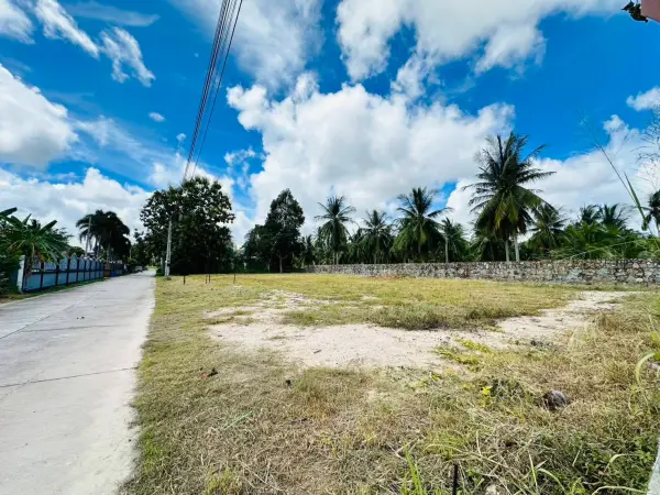 Land for Sale in Pong