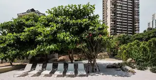 Baan Plai Haad beach area with white sand, lounge chairs, large green trees, and condo building in background.