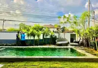 4 Bedroom House for Rent in Mabprachan backyard pool surrounded by tropical palm trees and garden