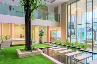 The Cloud indoor garden atrium with a large tree, water feature, and artificial grass.