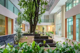 The Cloud looking up at the high-rise building's interior courtyard with bright sunlight and green trees.