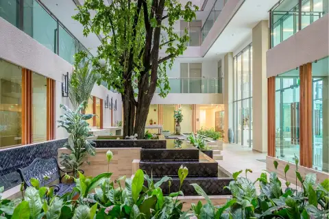 The Cloud looking up at the high-rise building's interior courtyard with bright sunlight and green trees.