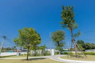 The Delight Cozy — new development photo 5, Pattaya Thailand