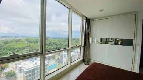 1 Bedroom Condo for Rent at The Vision bedroom with large windows overlooking green treetops and rooftop pool