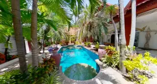 Jomtien Palace Village small, curved plunge pool with blue tiles, surrounded by lush tropical plants and a rustic brick wall