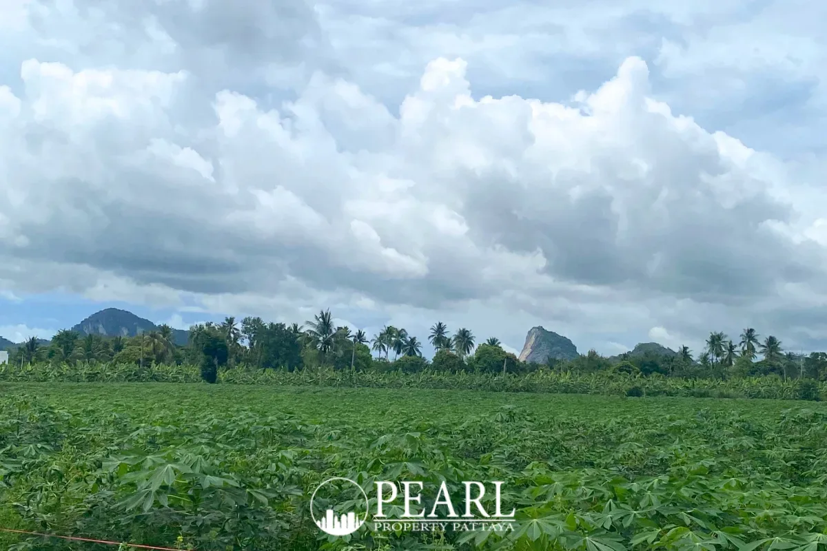 Land for Sale in L Pattaya expansive undeveloped plot