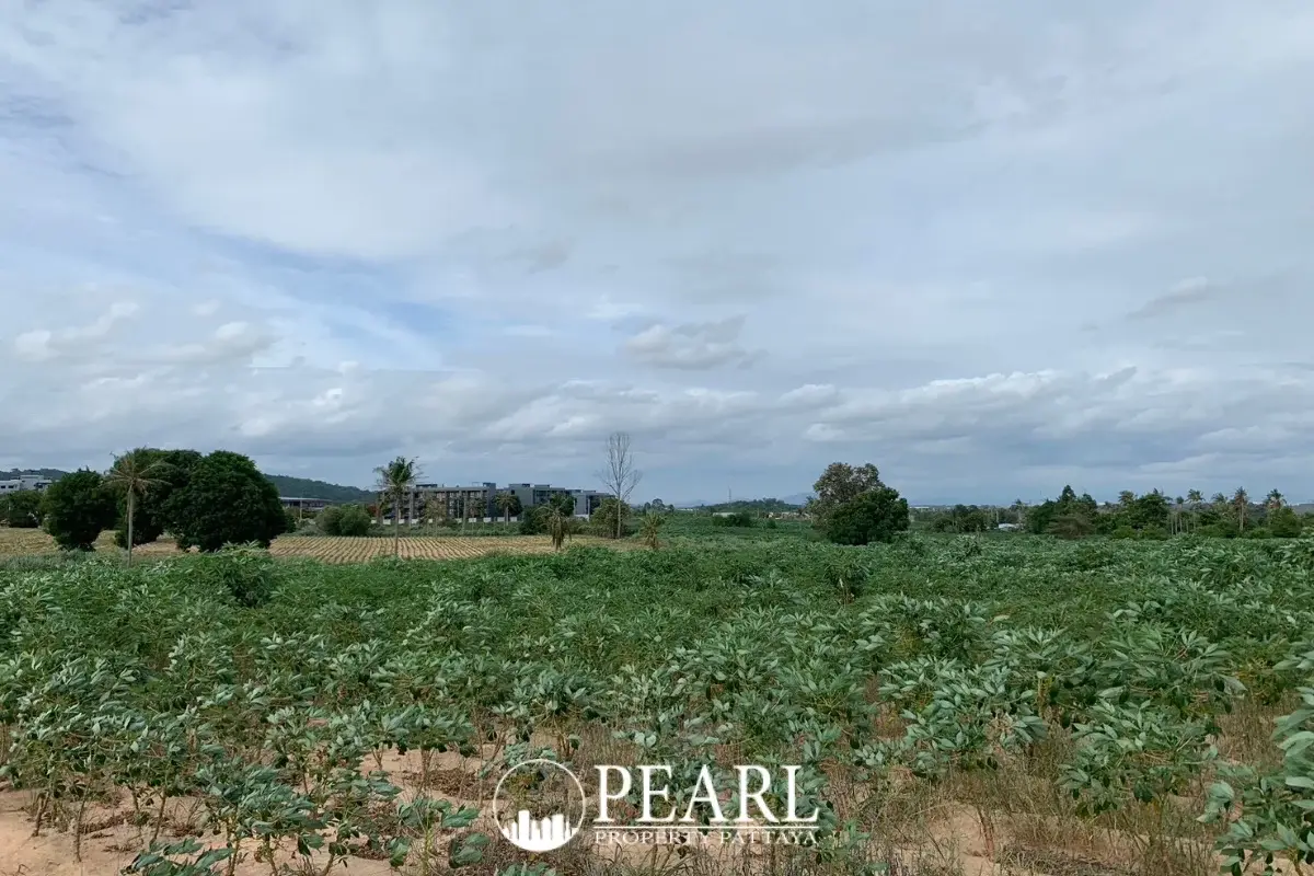 Land for Sale in L Pattaya lush green landscape