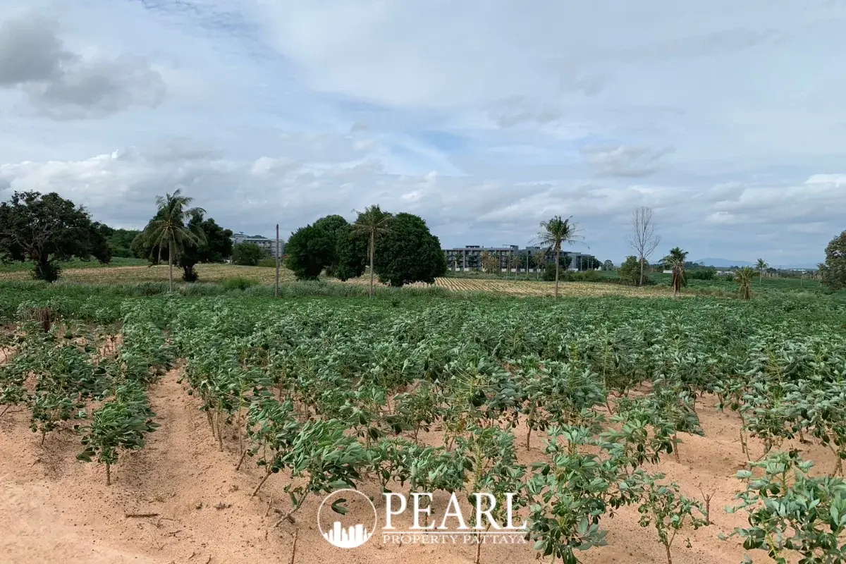 Land for Sale in L Pattaya with distant city skyline