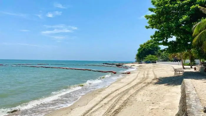 Laguna Heights nearby sandy beach with calm ocean, tire tracks, and green trees under a blue sky.