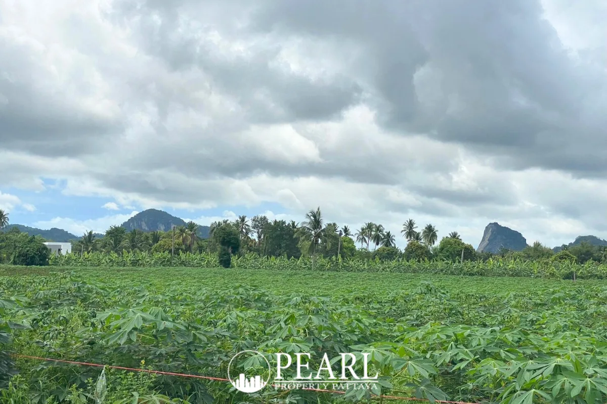 Land for Sale in L Pattaya with lush green surroundings