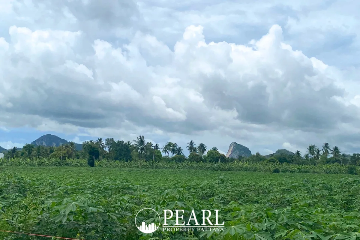 Land for Sale in L Pattaya cleared building site